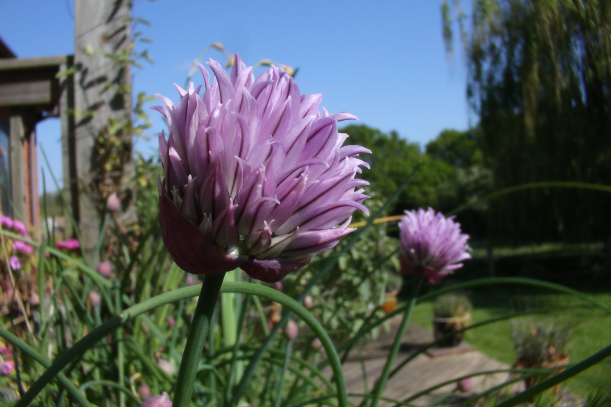 25mm Extender Lens Photography