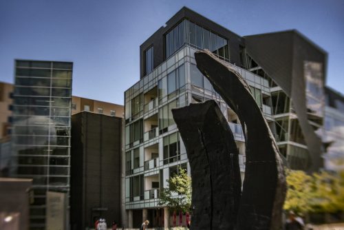 MikroMak 40mm Image<br>Provided by Nicholas DeSciose<br>Camera: Sony ILCE-7RM2<br>ISO: 2000