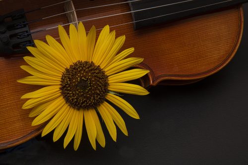 MikroMak/RO Image<br>Provided by Nicholas DeSciose<br>Aperture: 22<br>Camera: Nikon D850<br>ISO: 64