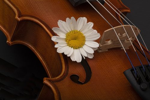 MikroMak/RO Image<br>Provided by Nicholas DeSciose<br>Aperture: 36<br>Camera: Nikon D850<br>ISO: 125