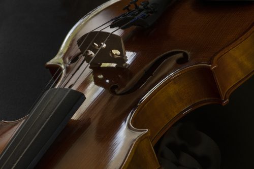 MikroMak/RO Image<br>Provided by Nicholas DeSciose<br>Aperture: 32<br>Camera: Nikon D850<br>ISO: 400