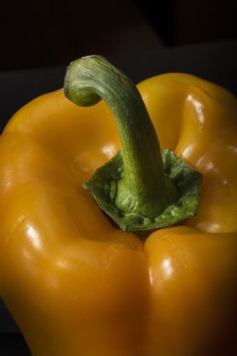 MikroMak/RO Image<br>Provided by Nicholas DeSciose<br>Aperture: 40<br>Camera: Nikon D850<br>ISO: 100