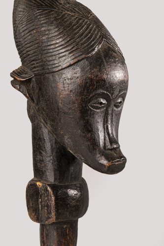 MikroMak/RO Image<br>Provided by Nicholas DeSciose<br>Aperture: 22<br>Camera: Nikon D850<br>ISO: 80